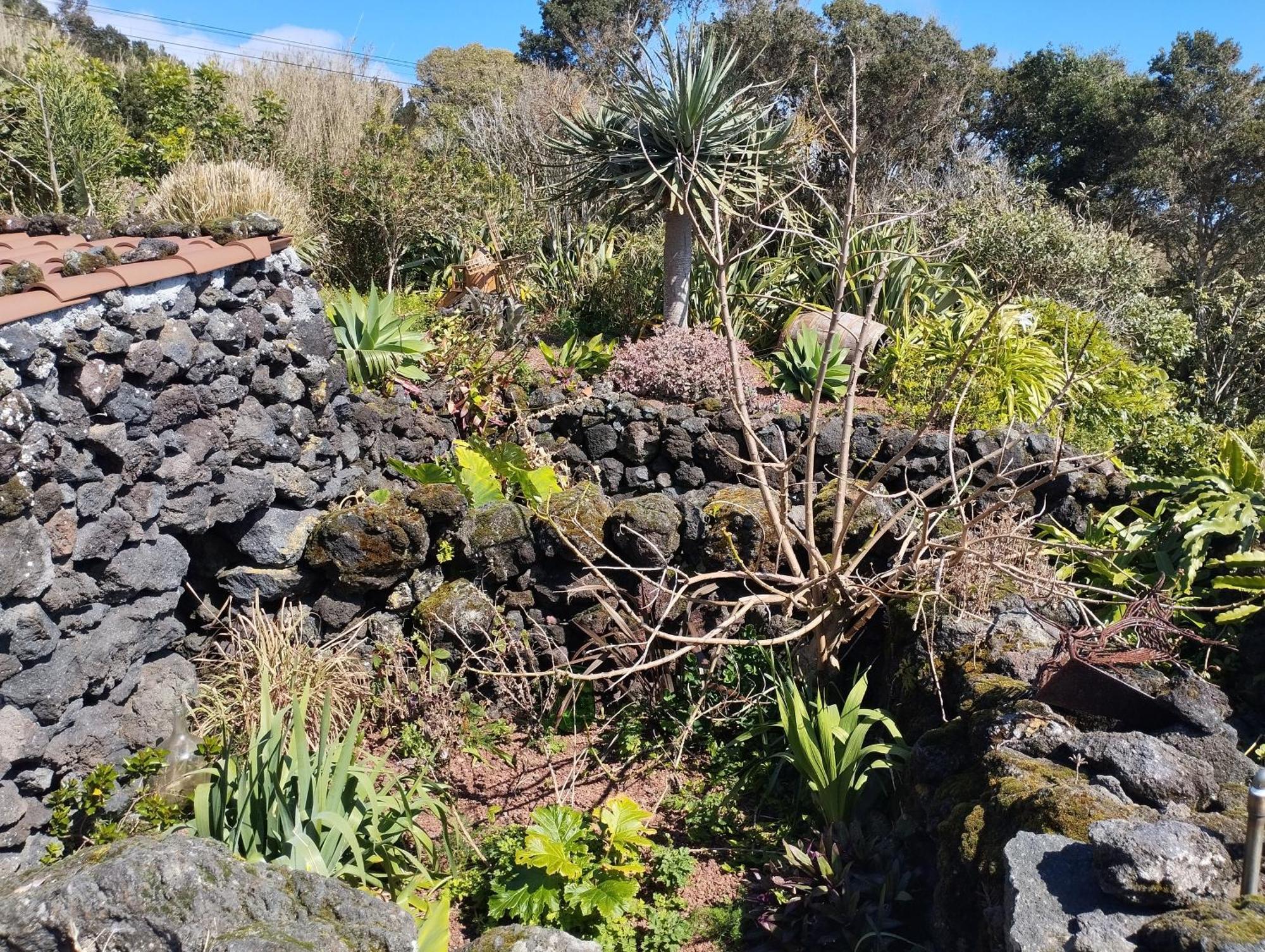 Lobo Do Mar Villa Calheta de Nesquim Exteriör bild